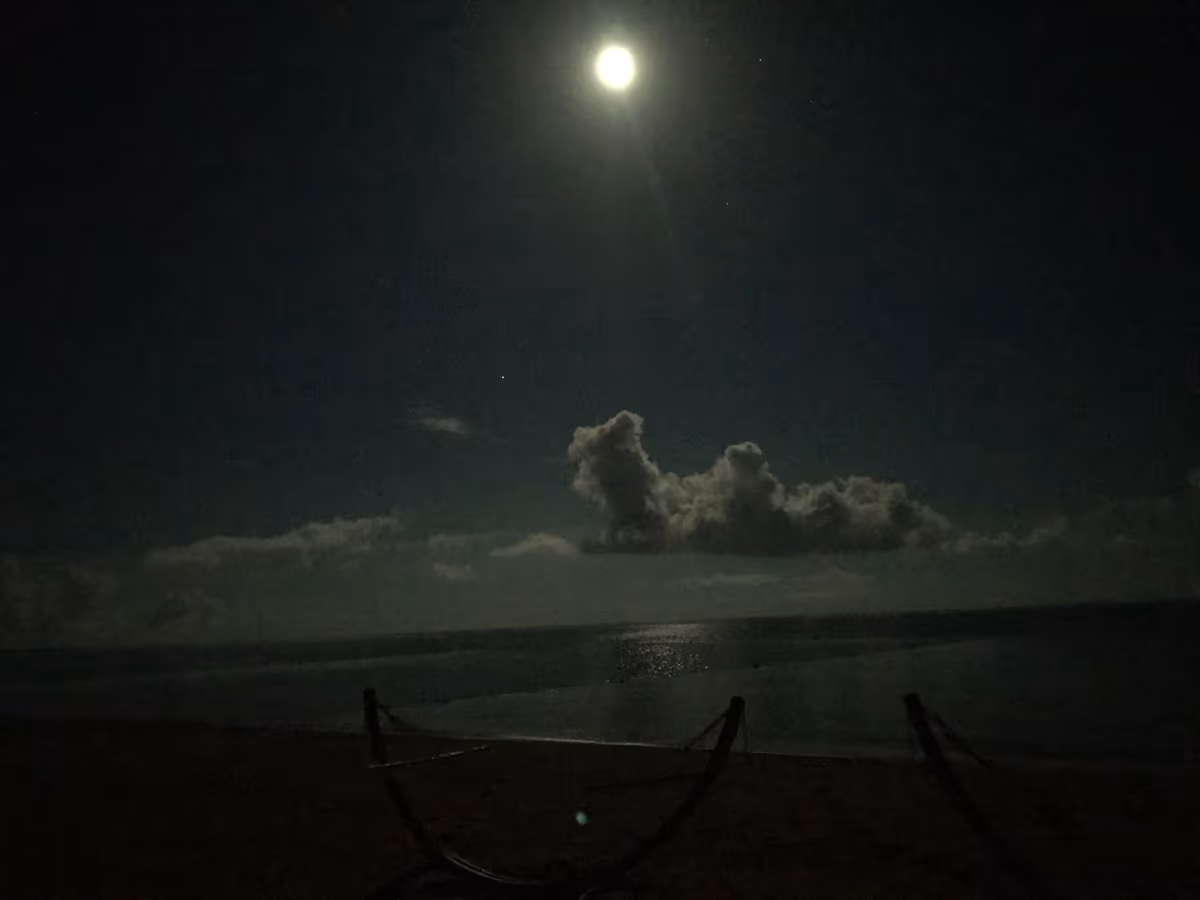 投稿写真：満月の夜
