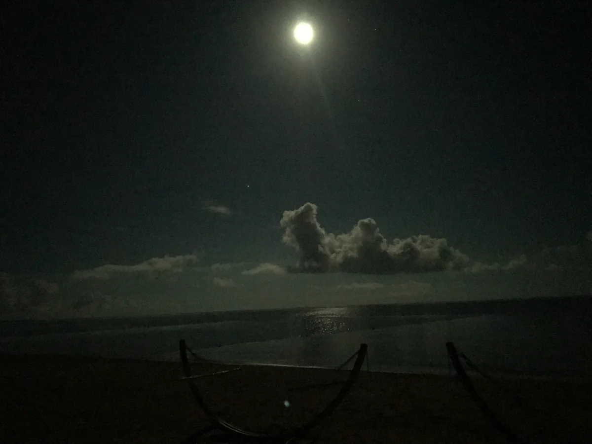 投稿写真：満月の夜