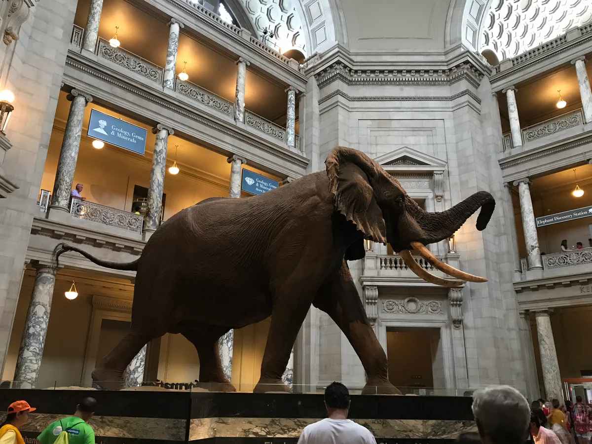 投稿写真：迫力！