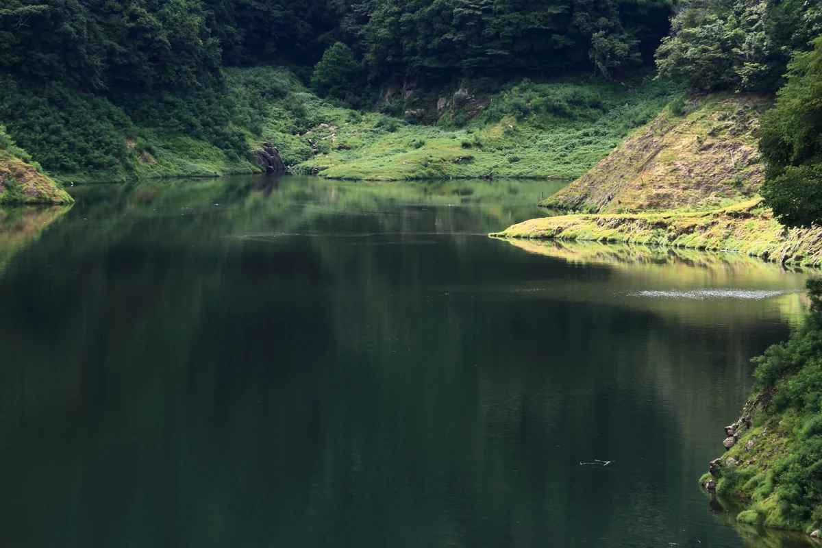 投稿写真：静寂