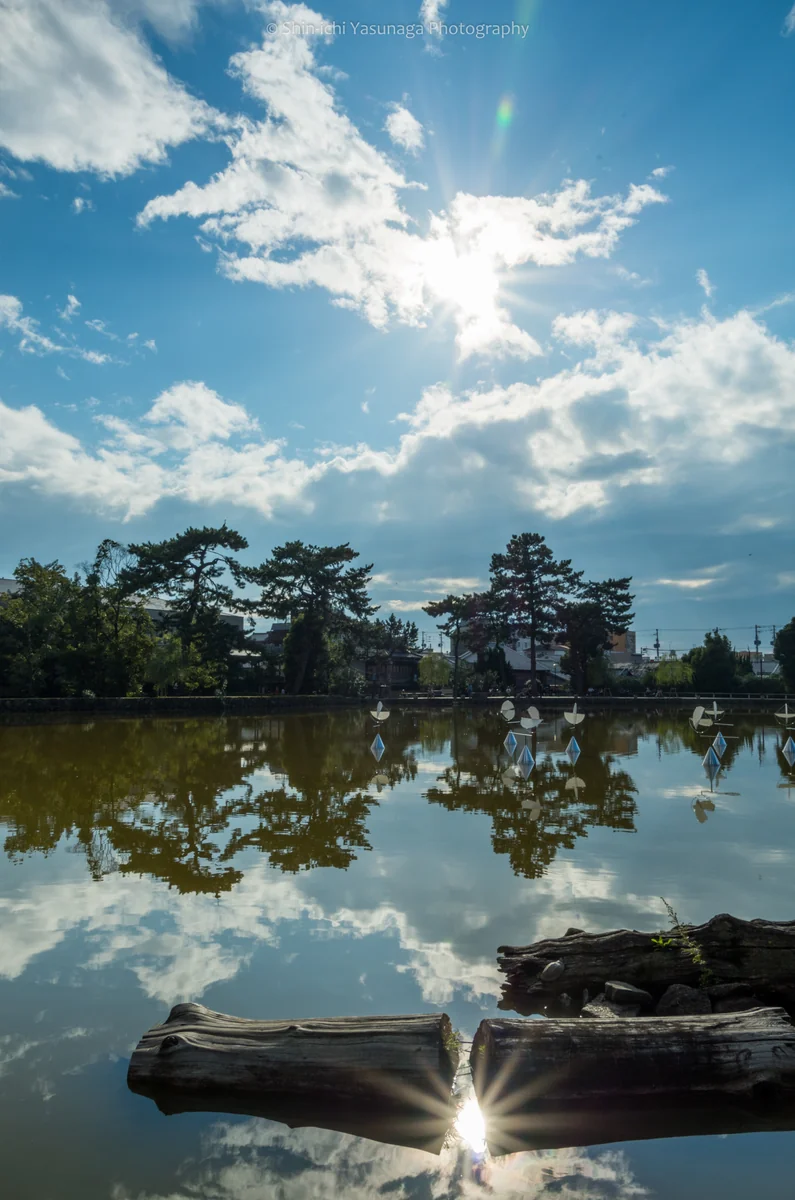 投稿写真：奈良市・猿沢池のリフレクション