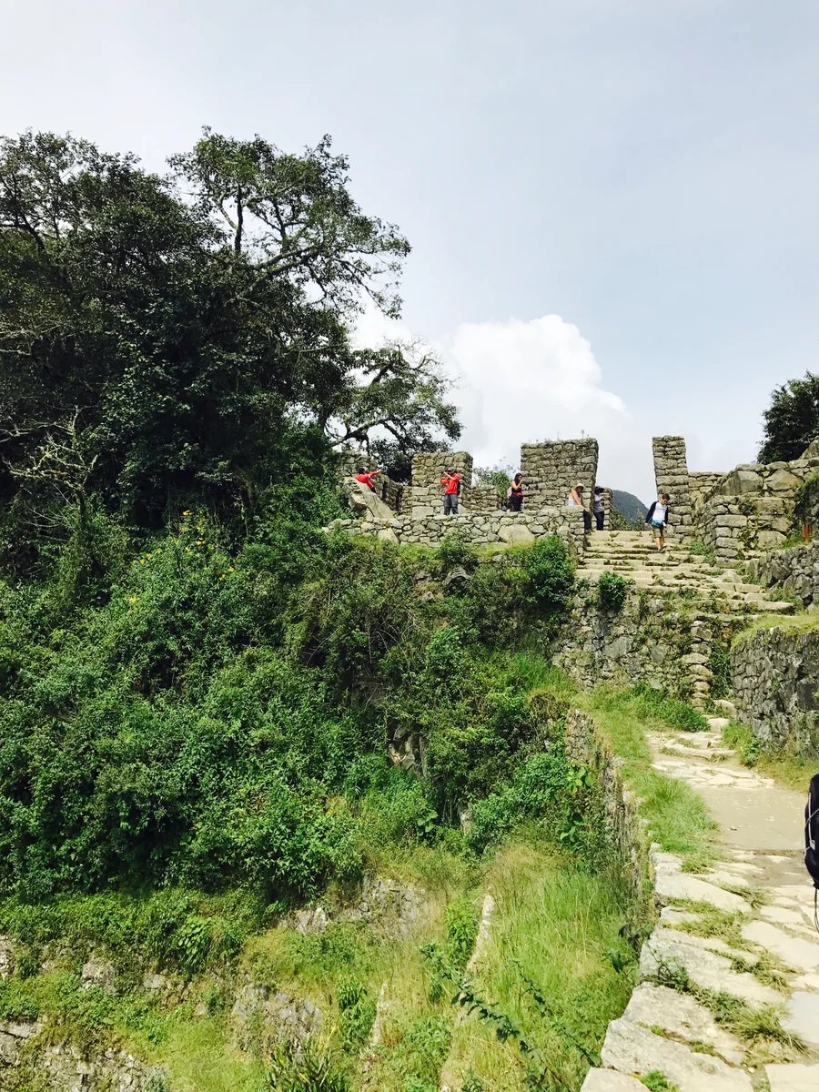 投稿写真：マチュピチュの太陽神田