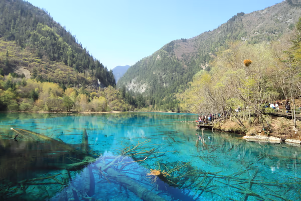投稿：九寨溝　五花海
