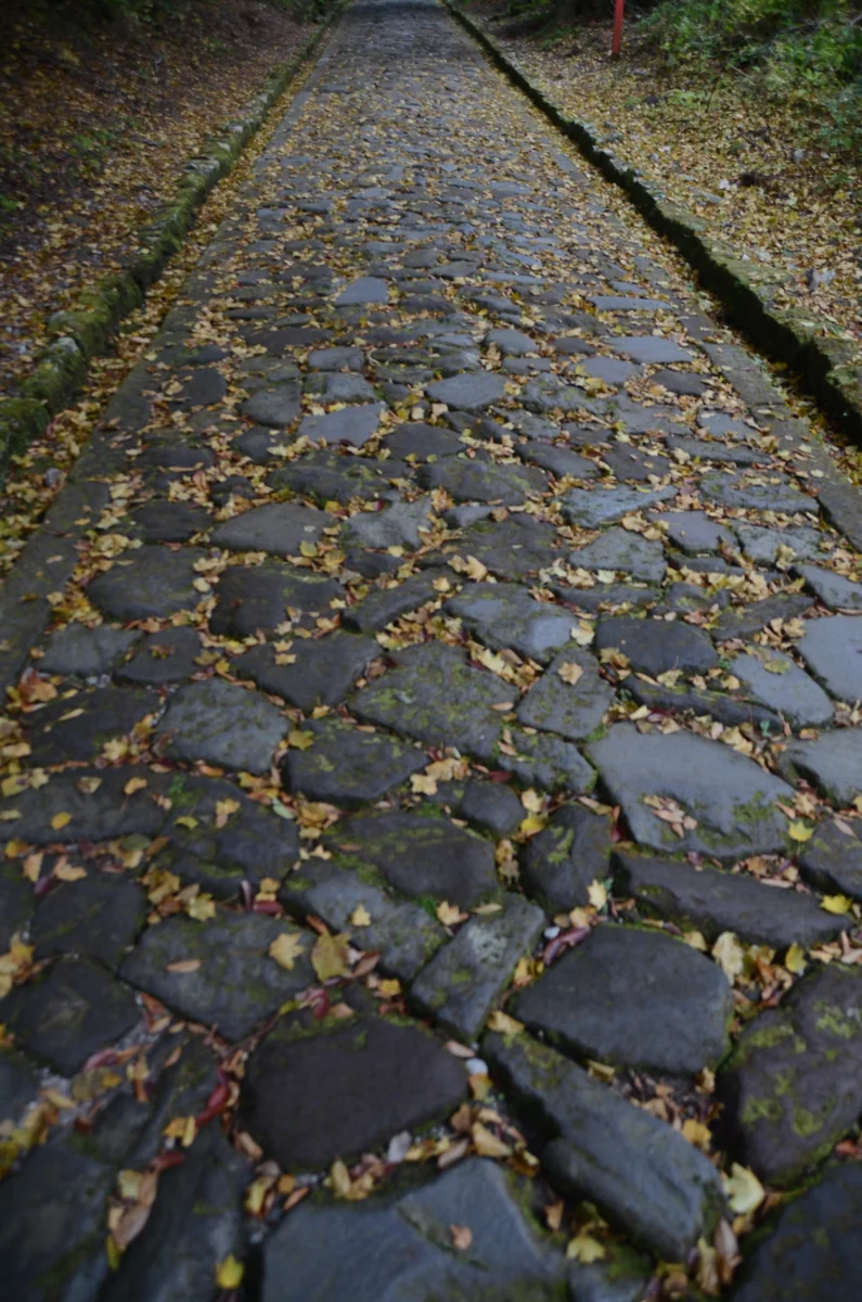 投稿写真：秋の石畳