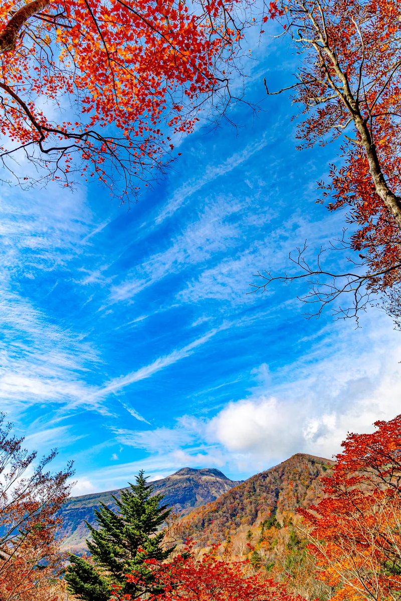 投稿写真：紅葉の鬼面山と茶臼岳