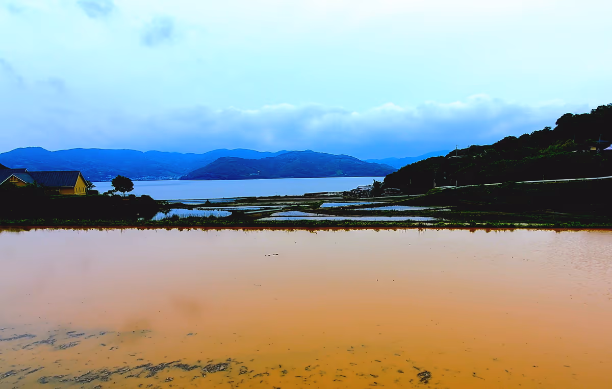 投稿写真：棚田