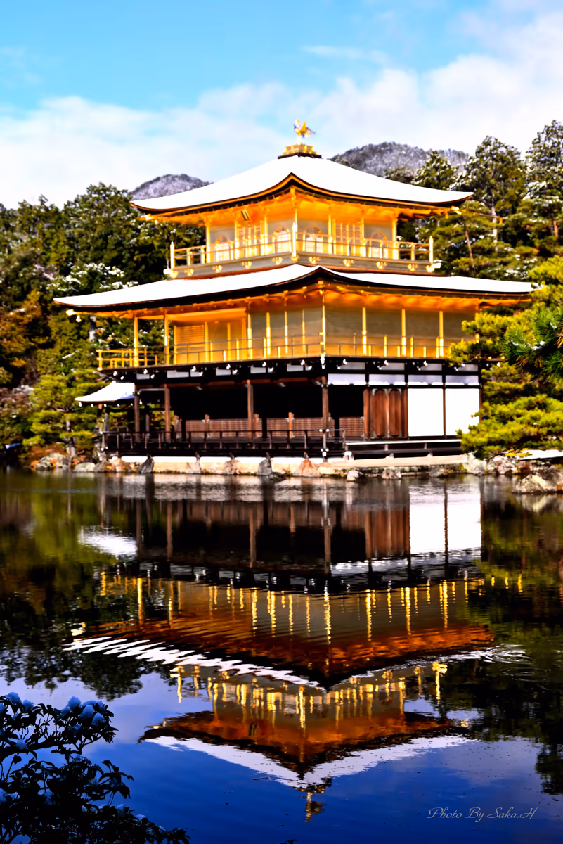 投稿写真：雪化粧の金閣寺