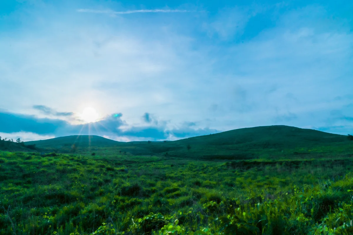 投稿写真：山口県 秋吉台