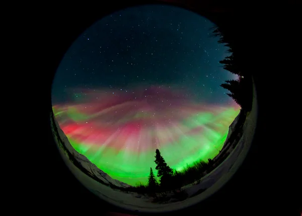 投稿：極北の光彩