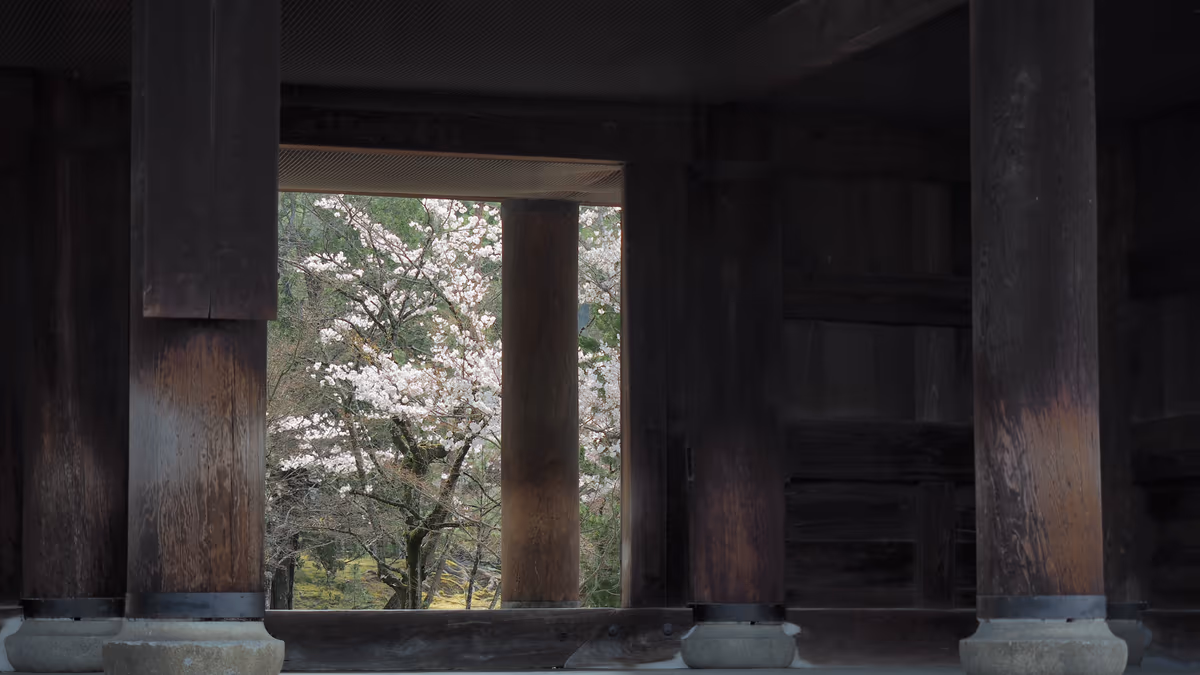 投稿写真：南禅寺三門桜