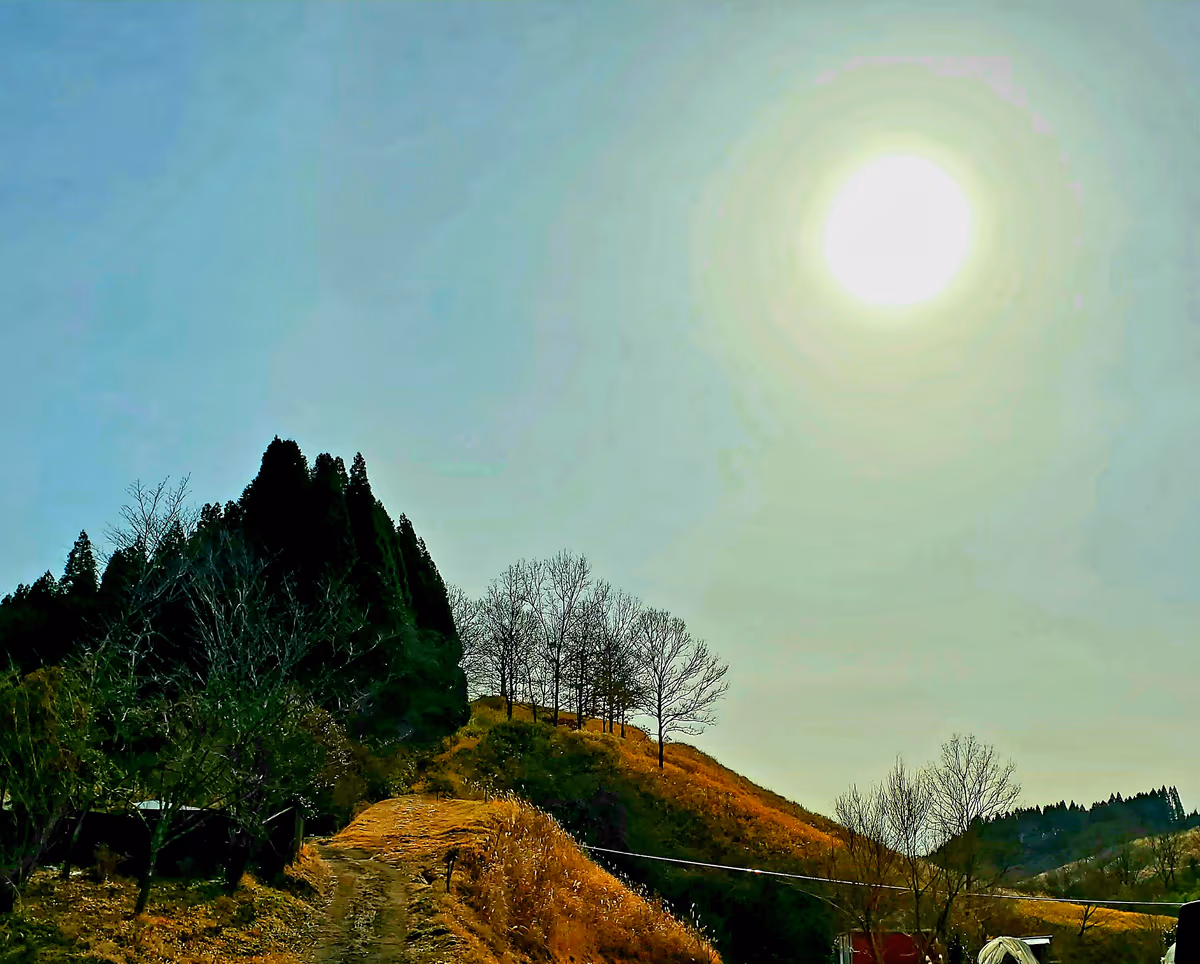 投稿写真：小田の裏山
