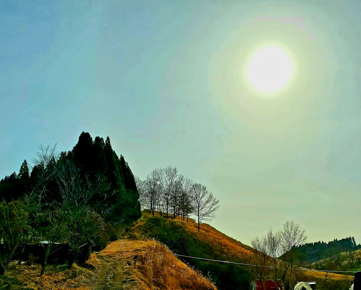 投稿写真：小田の裏山