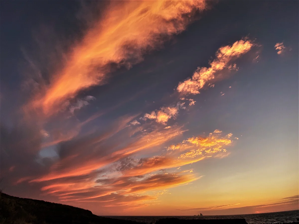 投稿写真：年度末の日曜日