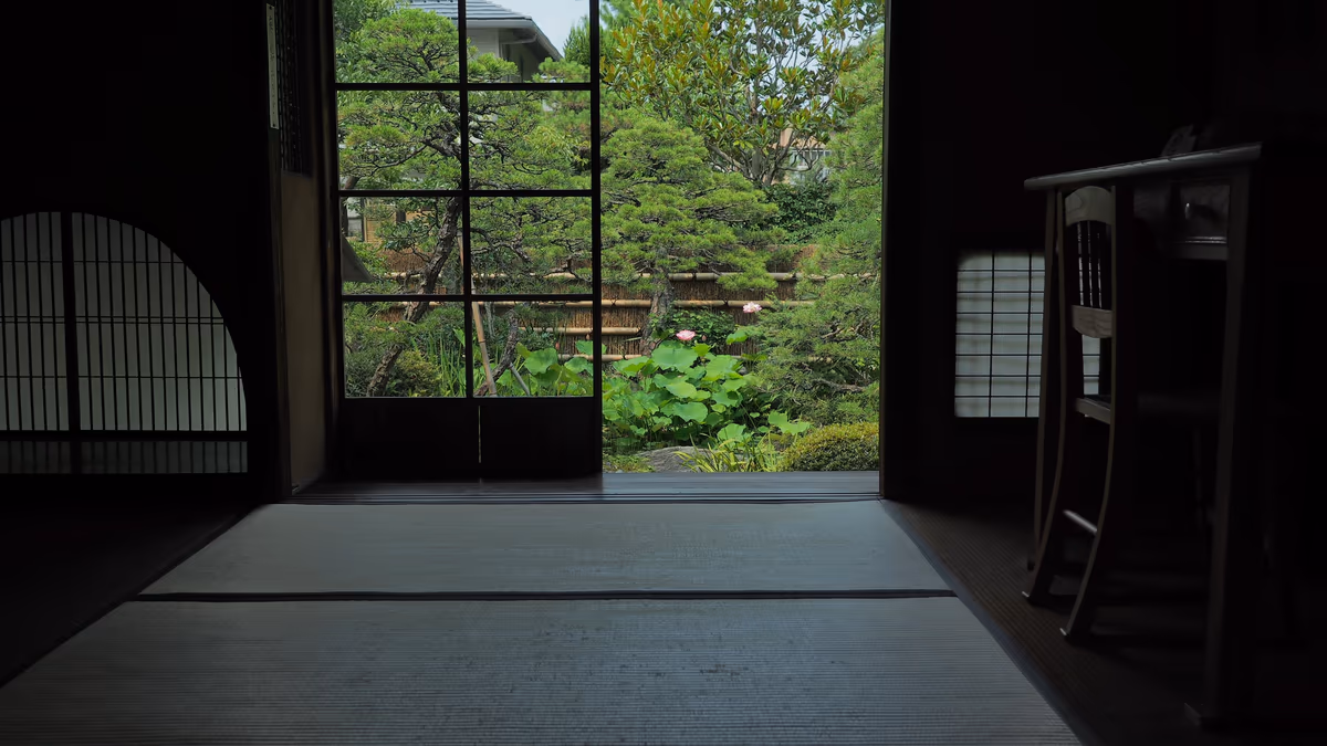 投稿写真：夏の庭