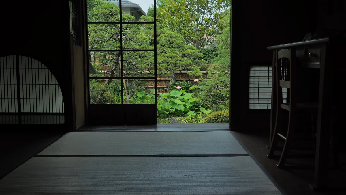 投稿写真：夏の庭