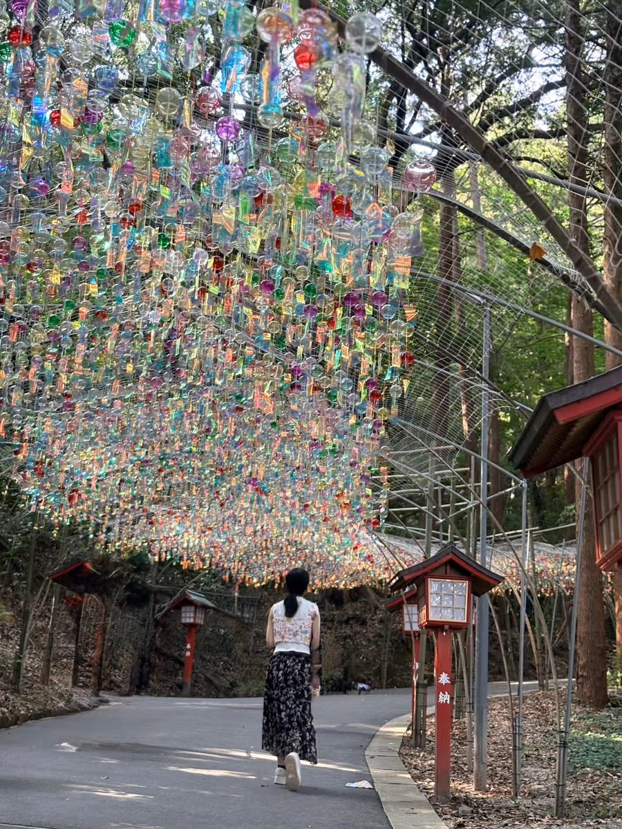 投稿写真：宮地嶽神社、風鈴祭り