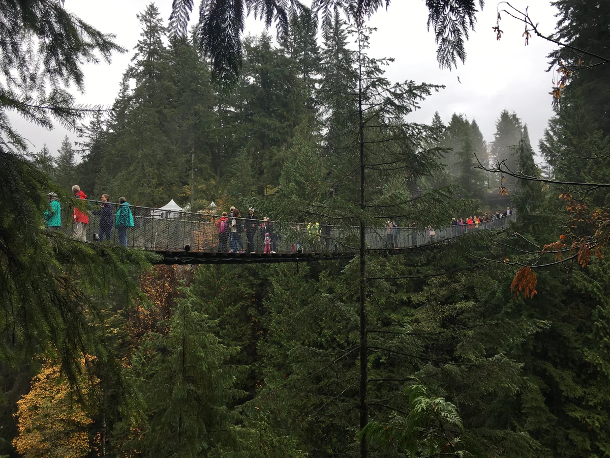 投稿写真：キャピラノ吊り橋