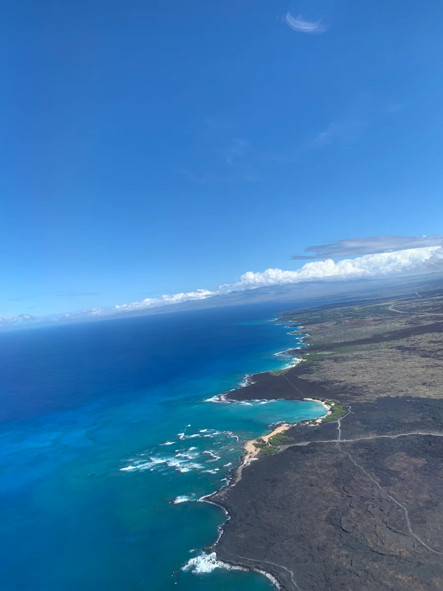 投稿写真：高まる期待