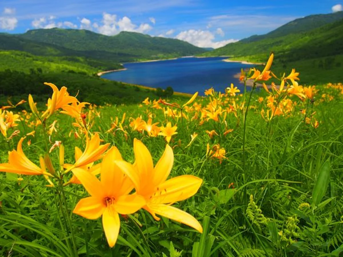 投稿写真：天空の湖にて