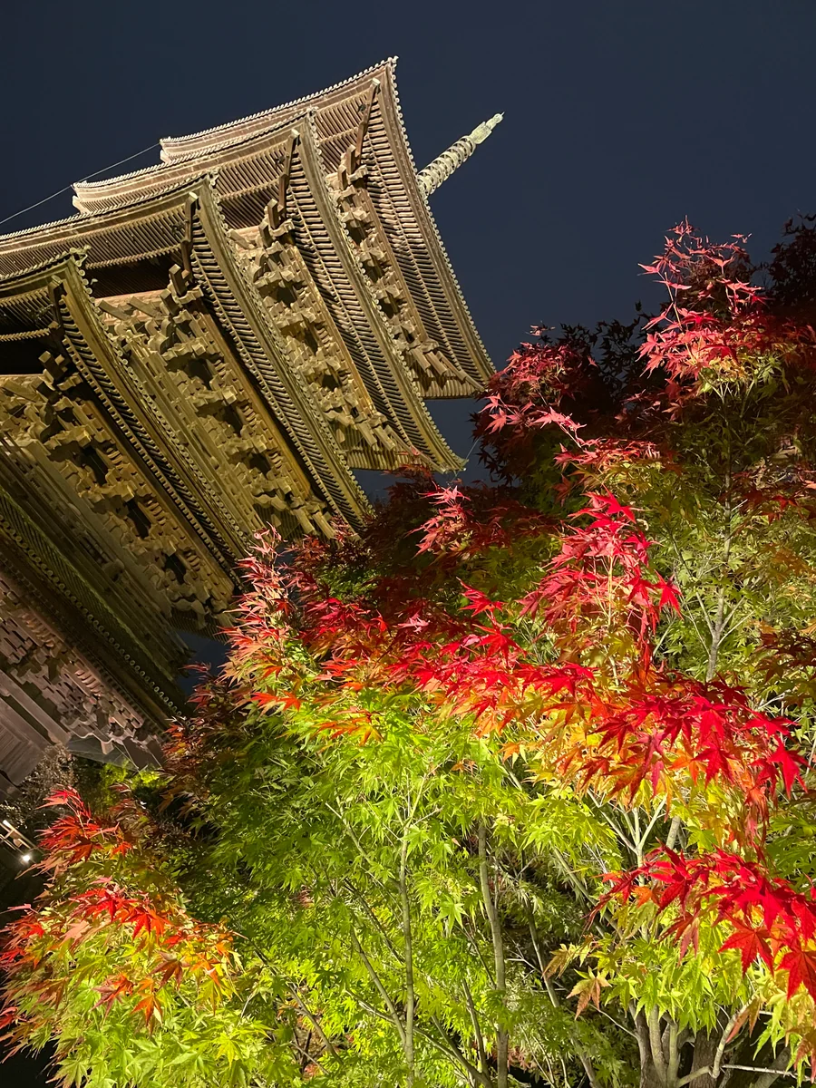 投稿写真：東寺