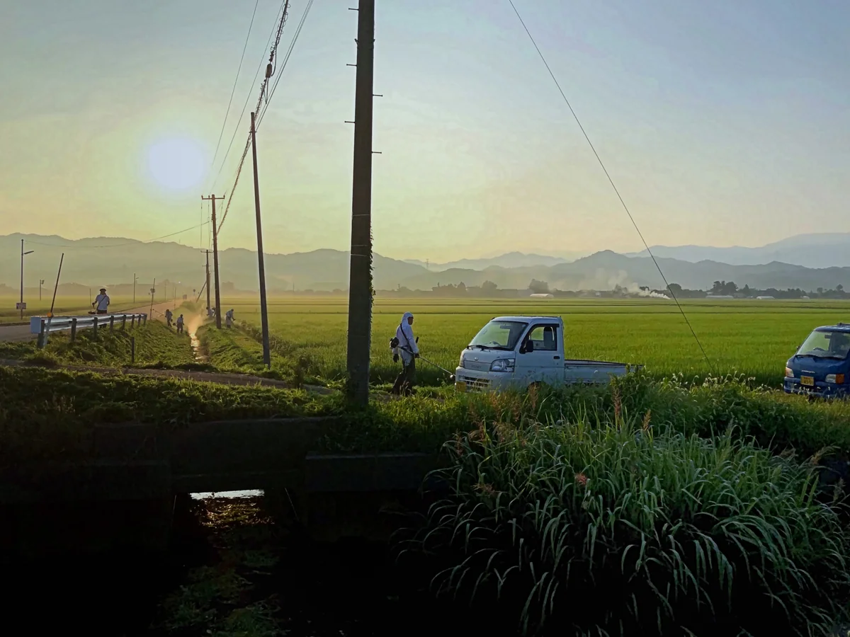 投稿写真：田園・七人の侍・渦巻く朝日