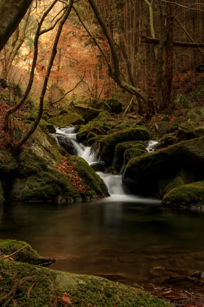 投稿：見返りの滝