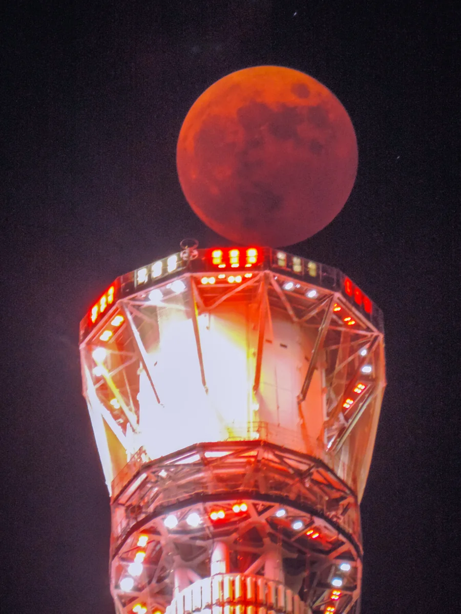 投稿写真：皆既月食~ブラッドムーン・オン・スカイツリー