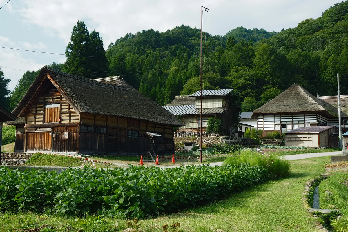 投稿写真：曲家