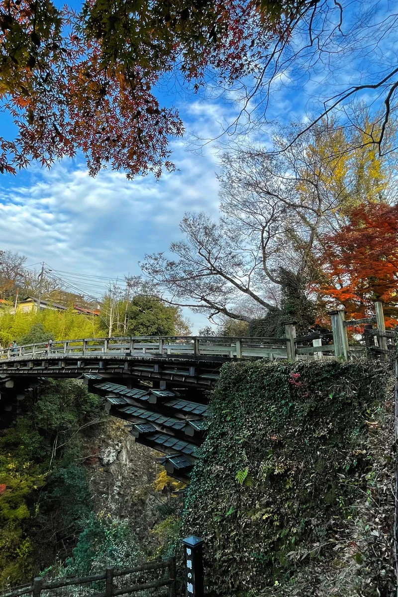 投稿写真：猿橋