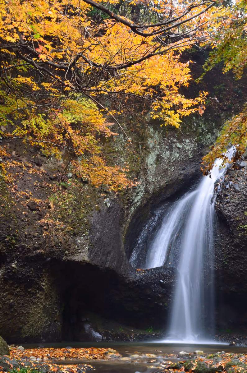 投稿写真：秋の月待の滝