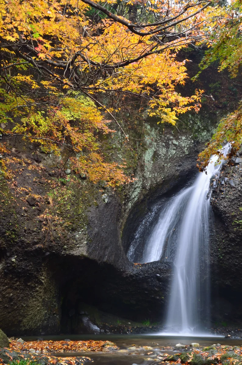 投稿写真：秋の月待の滝