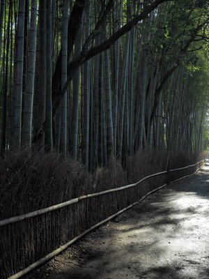  | 絶景事典