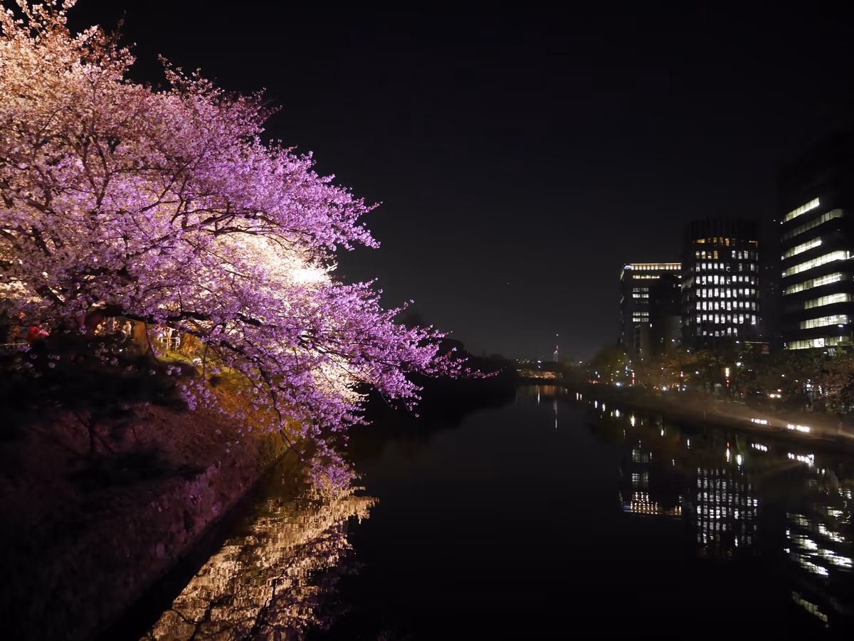 投稿写真：086舞鶴公園（福岡）