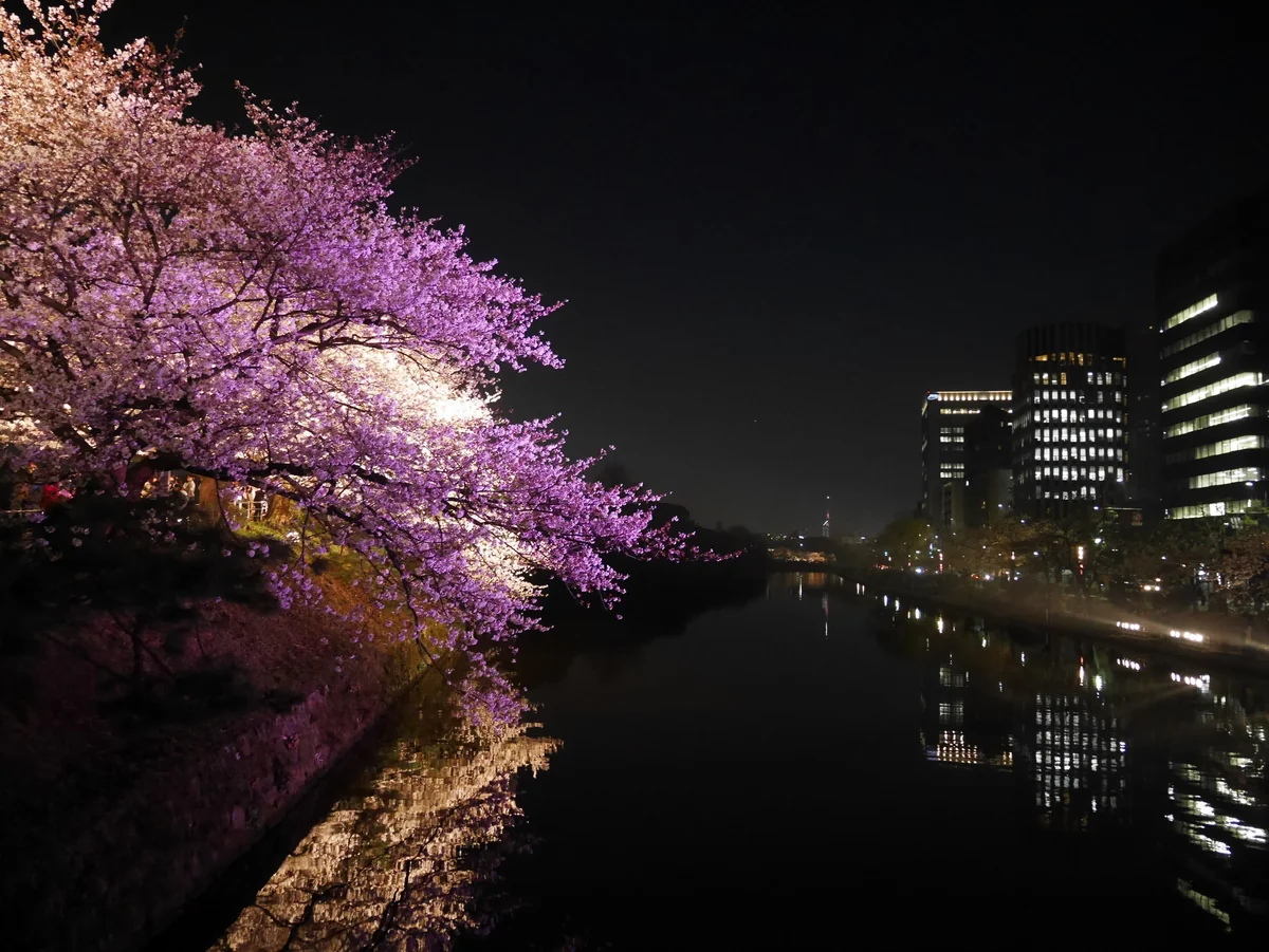 投稿写真：086舞鶴公園（福岡）