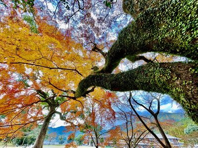  | 絶景事典