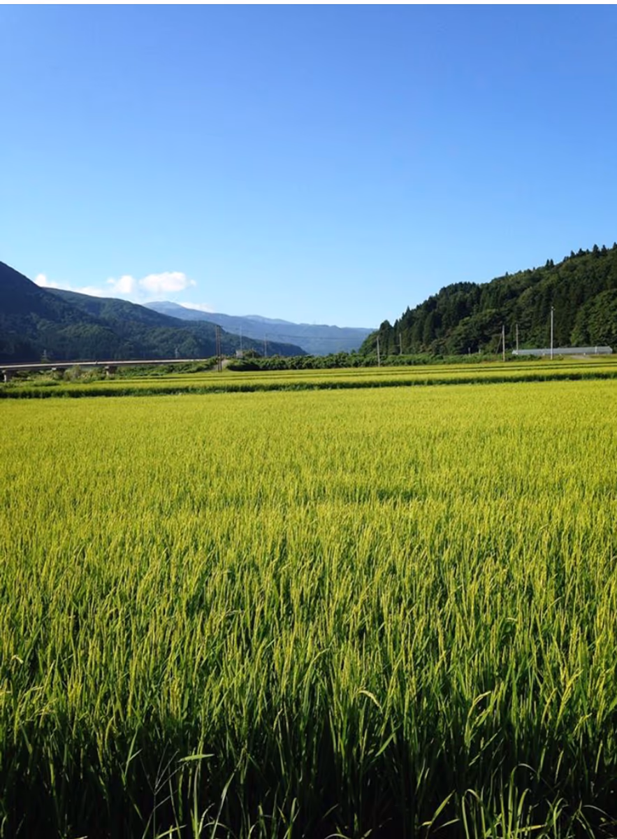 投稿写真：田園風景
