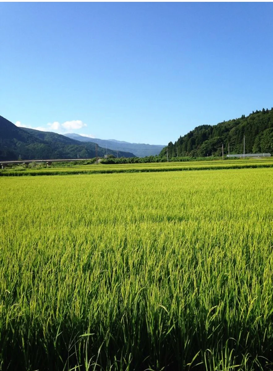 投稿写真：田園風景