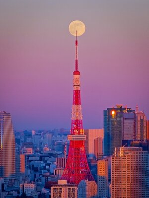  | 絶景事典