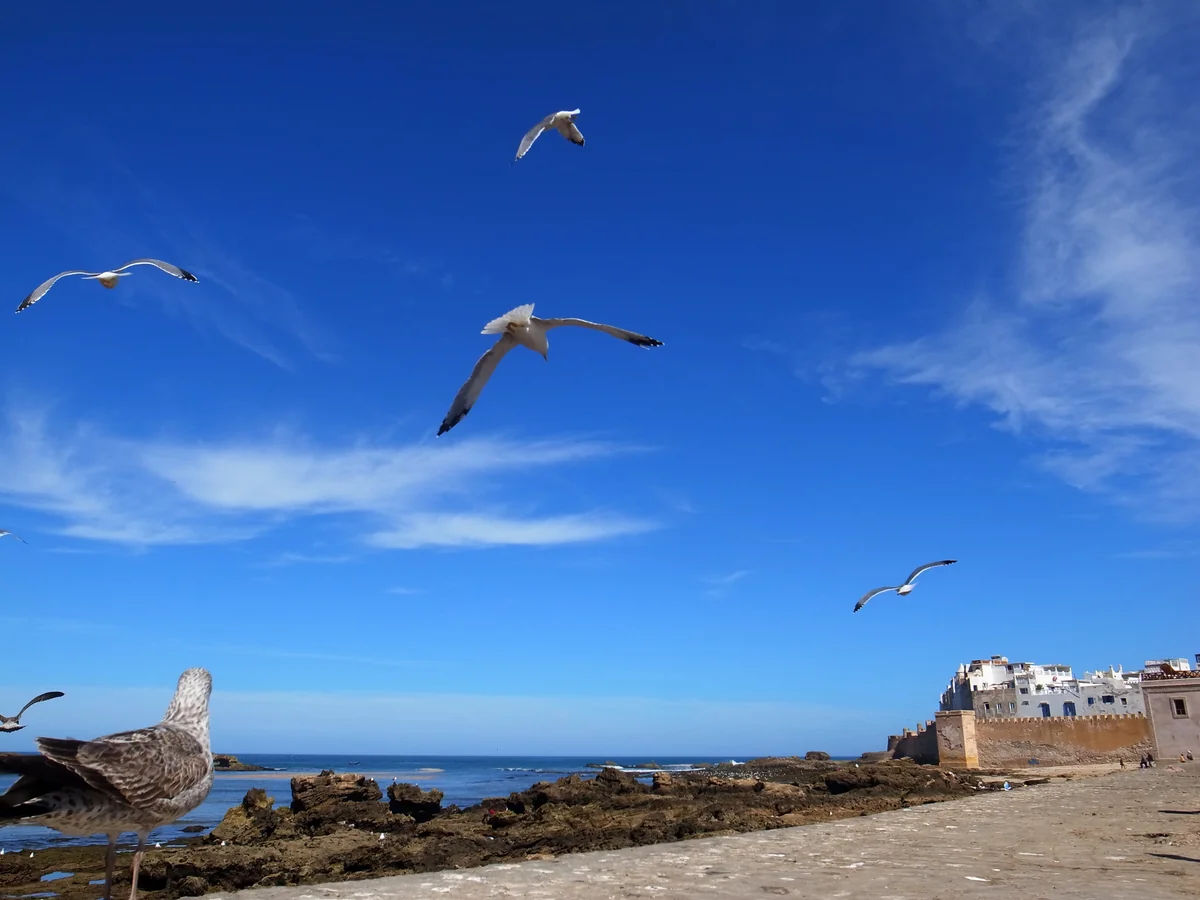 投稿写真：港町エッサウィラ