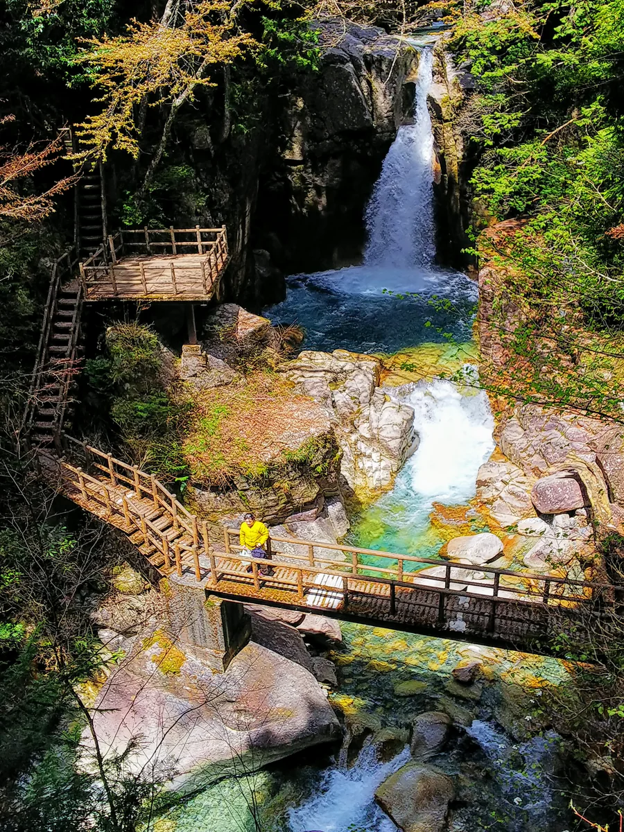 彩心人さんの投稿写真