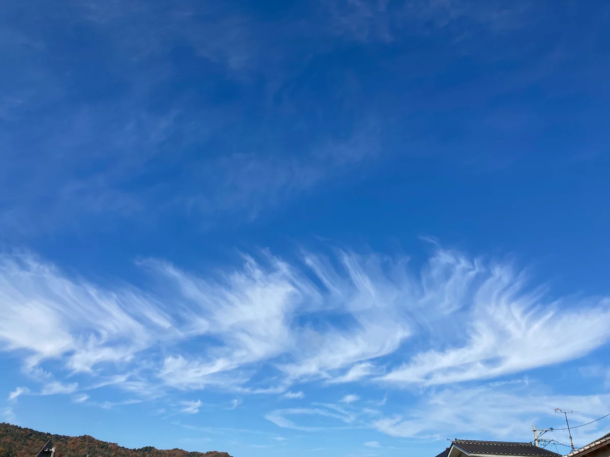投稿写真：霜月の晴天