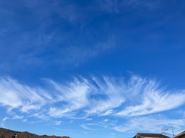 投稿：霜月の晴天