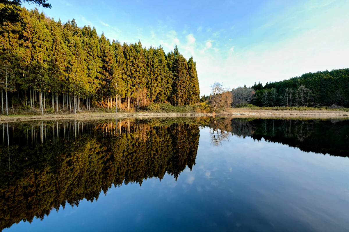 投稿写真：龍王ヶ淵