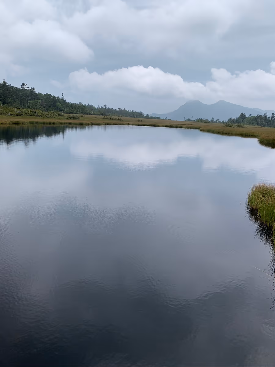 投稿写真：天空湿原・鬼怒沼