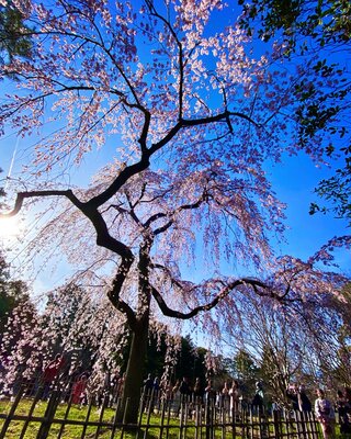 | 絶景事典