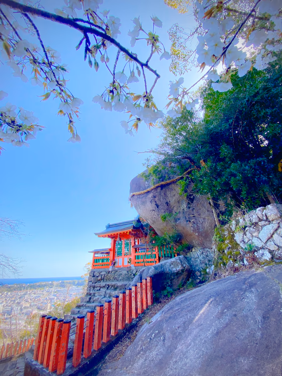 投稿写真：聖域の春 🌸神々が降臨した始まりの地 ゴトビキ岩 神倉神社