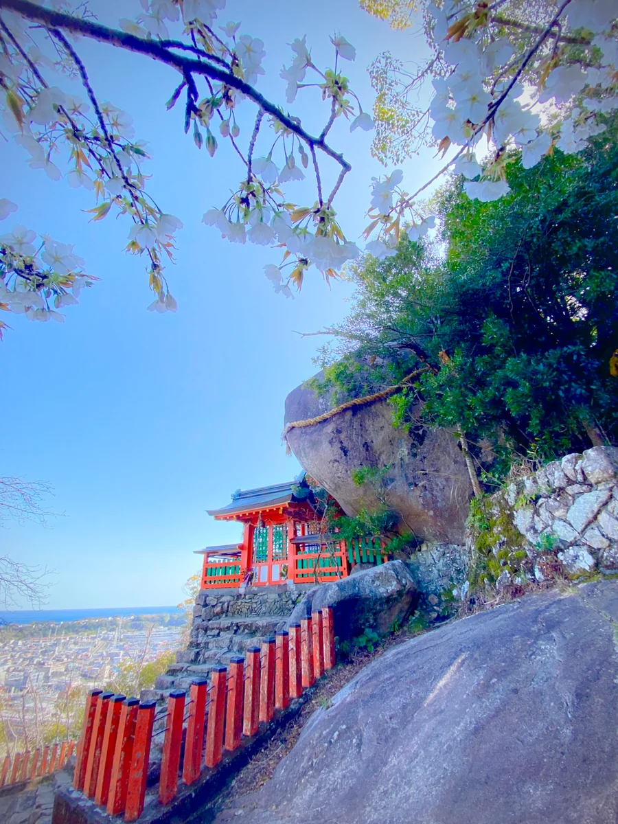 投稿写真：聖域の春 🌸神々が降臨した始まりの地 ゴトビキ岩 神倉神社