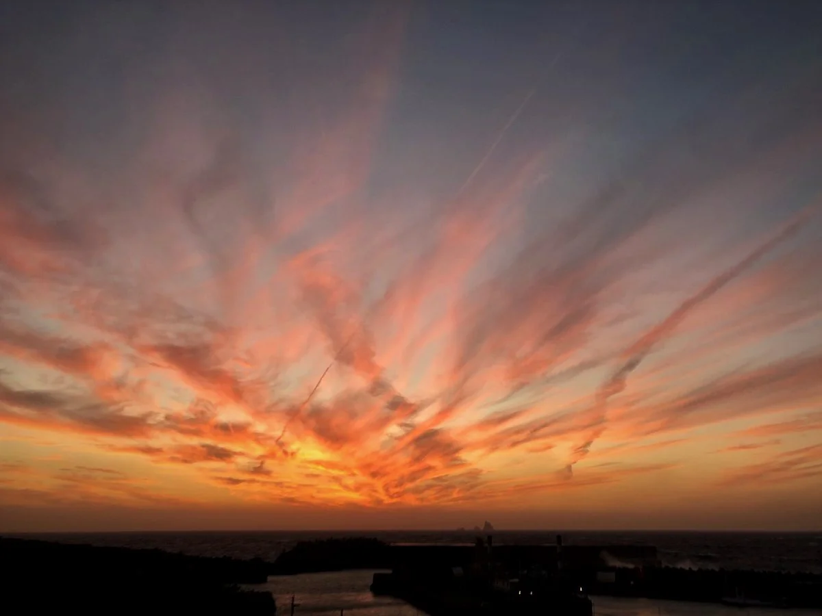 投稿写真：平成最後の師走