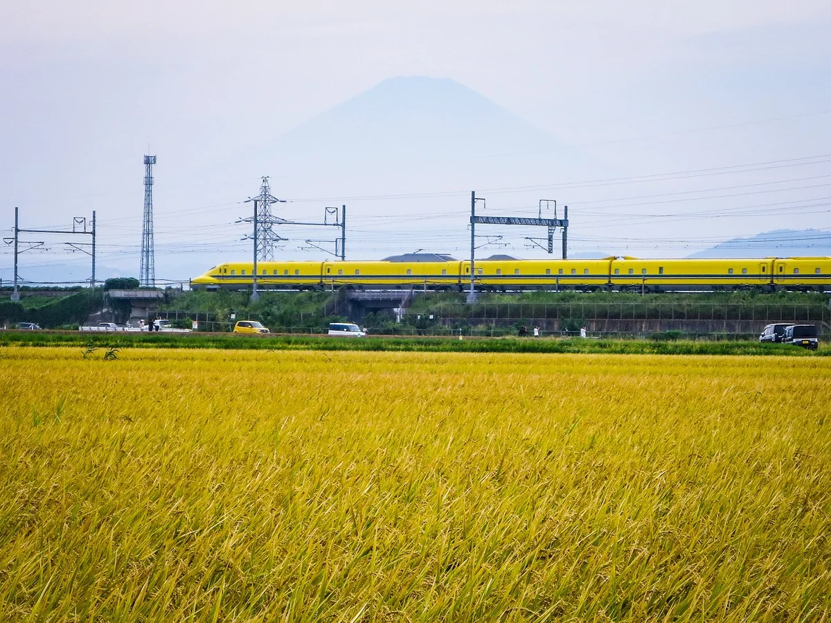 投稿写真：実りの秋を走るドクターイエロー