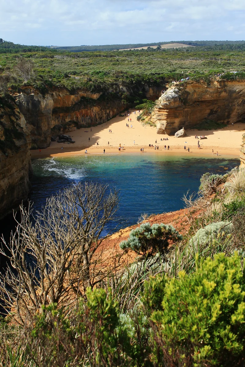 投稿写真：Great ocean road